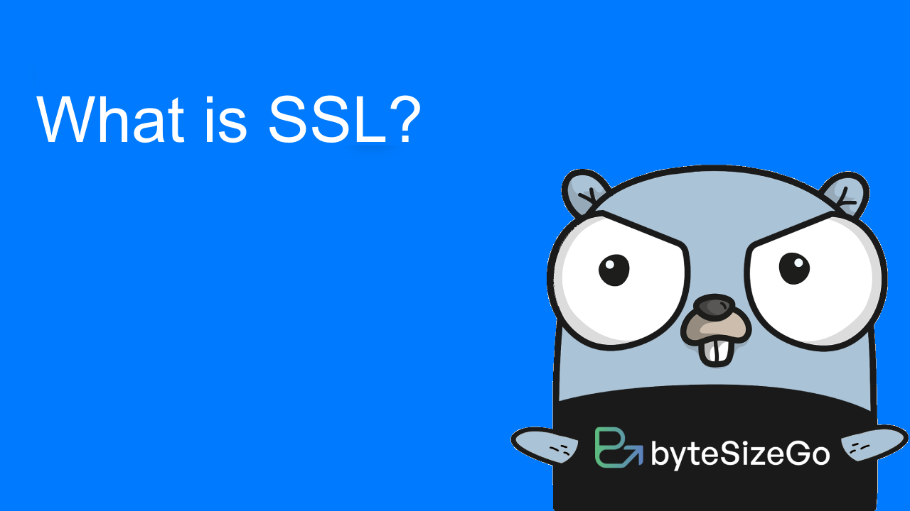 Thumbnail for What is SSL?